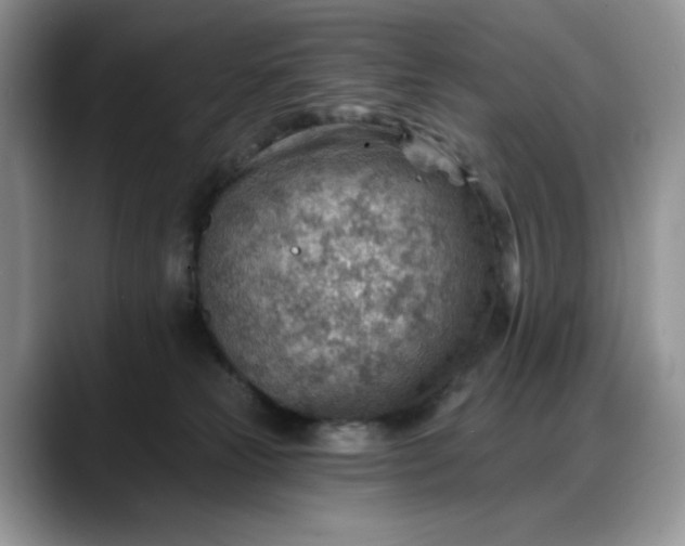 X0000088160181200705291919
