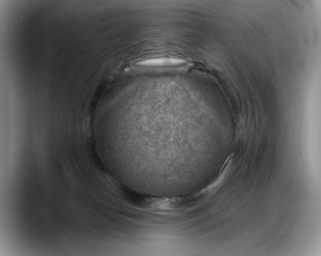 X0000088160182200705291919