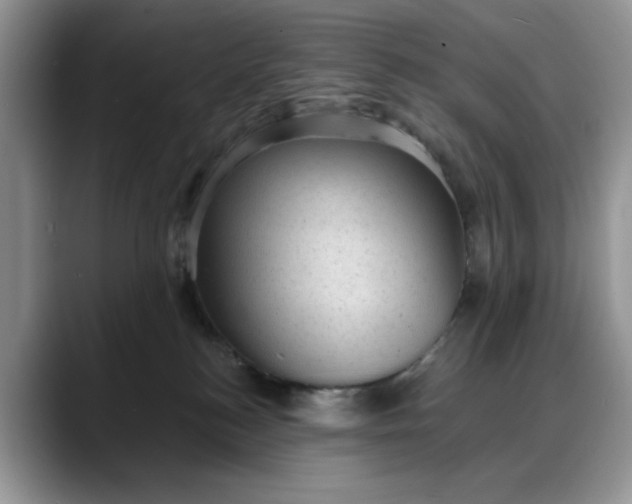 X0000088160184200705291919
