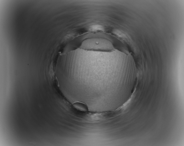 X0000088160186200705291919