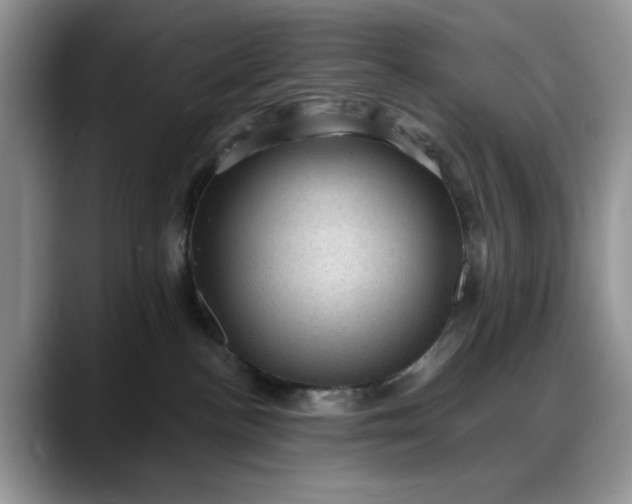 X0000088160188200705291919