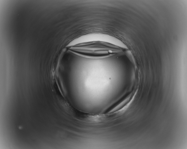 X0000088160190200705291919