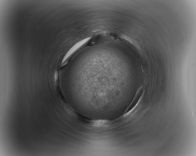 X0000088160192200705291919