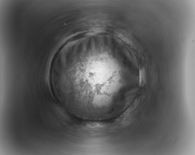 X0000088160195200705291918