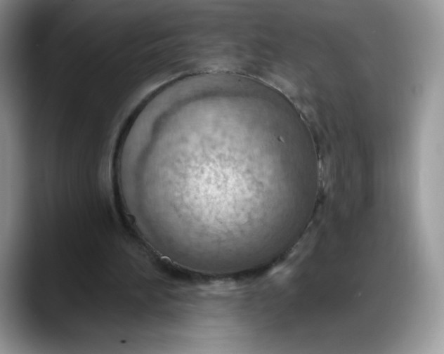 X0000088160196200705291918