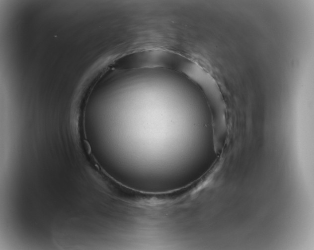 X0000088160197200705291918