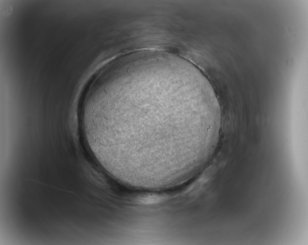 X0000088160198200705291918