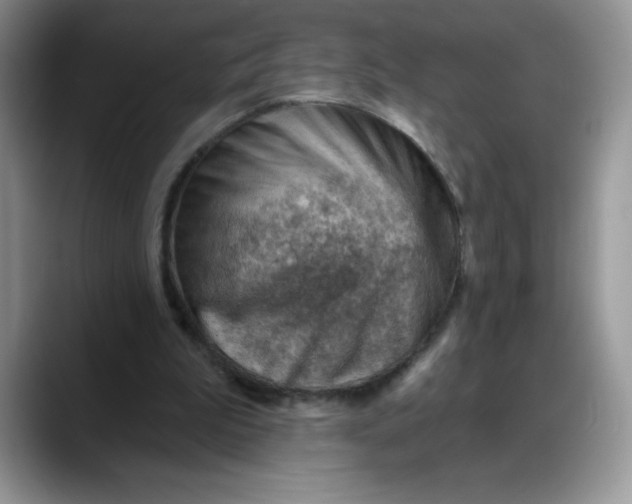 X0000088160199200705291918