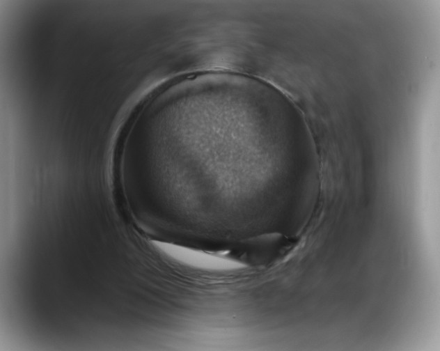 X0000088160200200705291918