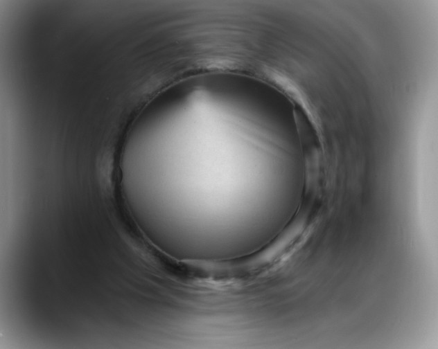 X0000088160201200705291918