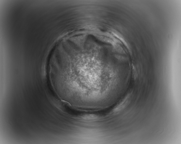 X0000088160203200705291918