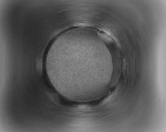 X0000088160204200705291918