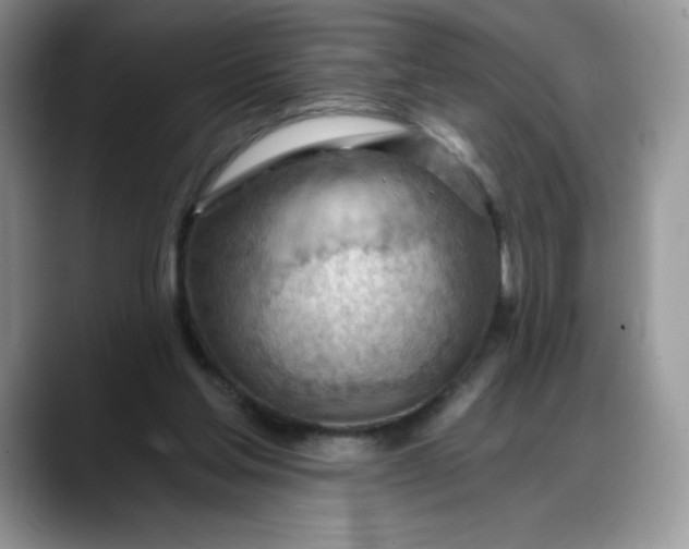 X0000088160205200705291918