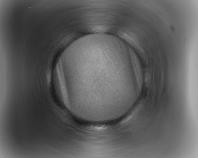 X0000088160206200705291918