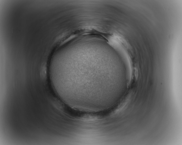 X0000088160207200705291918