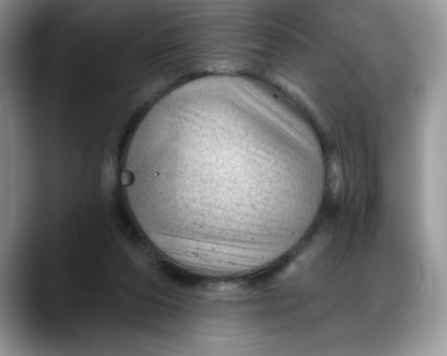 X0000088160208200705291918