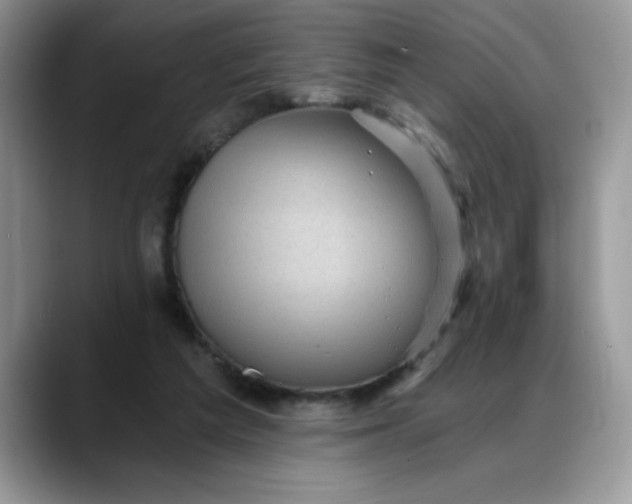 X0000088160209200705291918