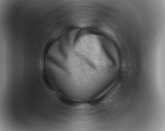 X0000088160210200705291918