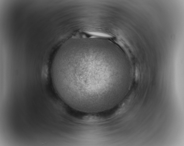 X0000088160211200705291918