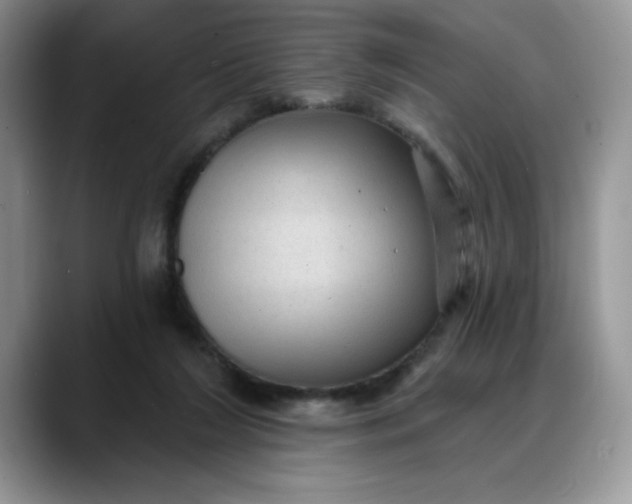 X0000088160212200705291918
