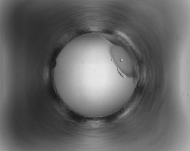 X0000088160213200705291918