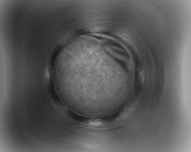 X0000088160214200705291918