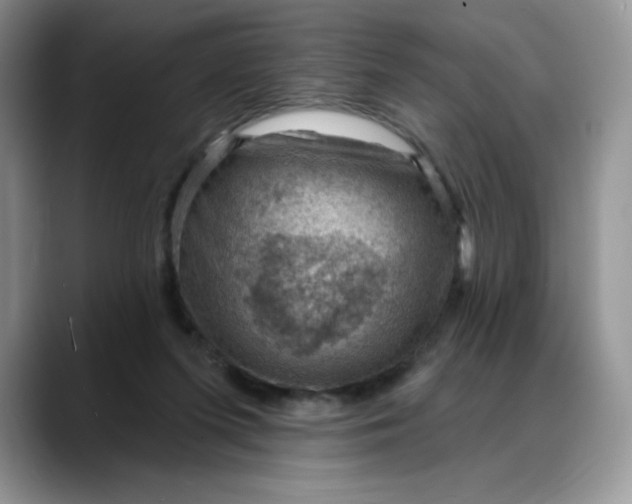 X0000088160215200705291918