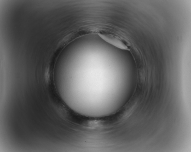 X0000088160216200705291918
