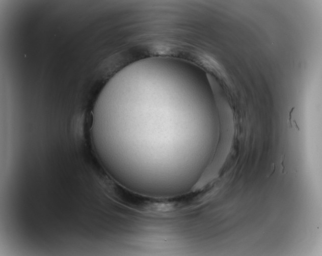 X0000088160217200705291918