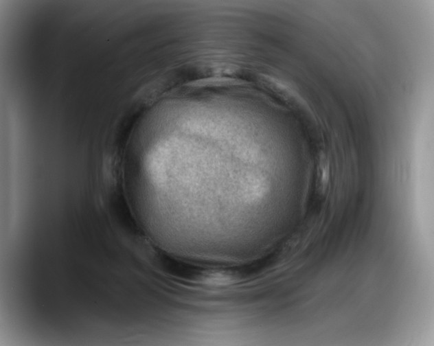 X0000088160218200705291918