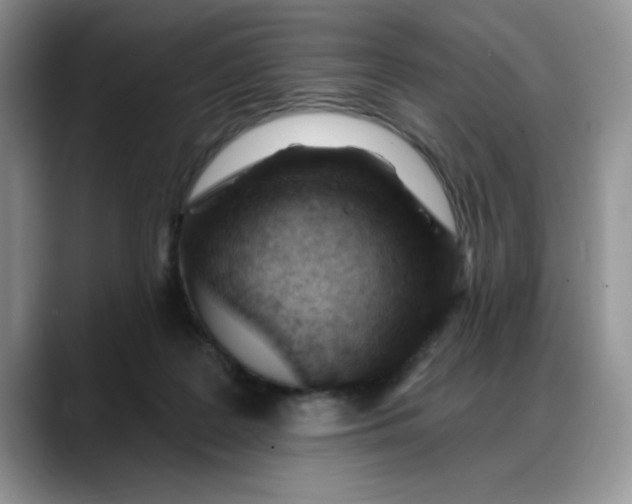 X0000088160219200705291918