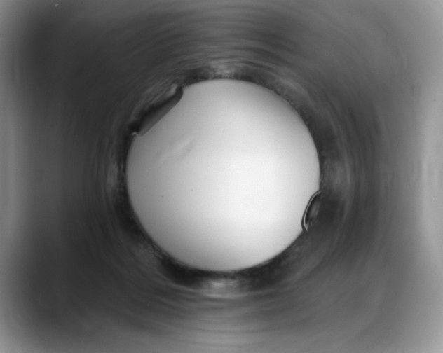 X0000088160220200705291918