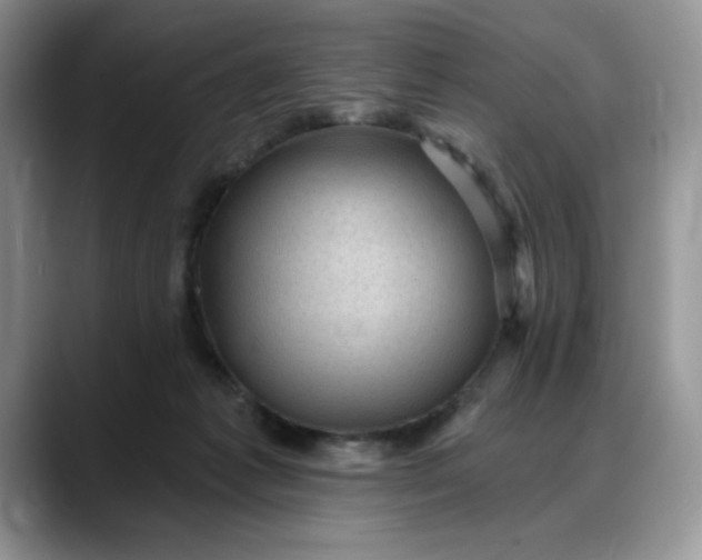 X0000088160221200705291918