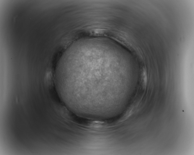 X0000088160222200705291918