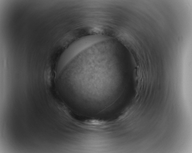 X0000088160223200705291918