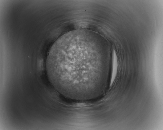 X0000088160224200705291918