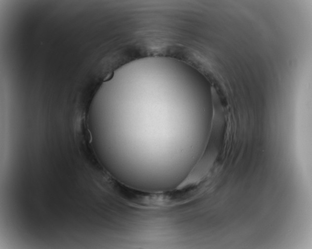 X0000088160225200705291918