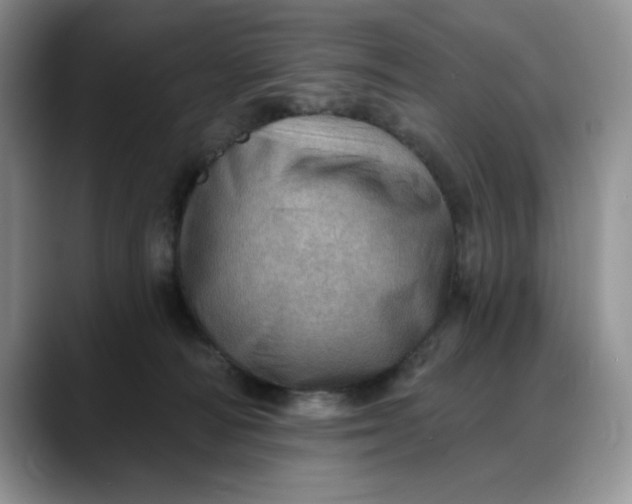 X0000088160226200705291918