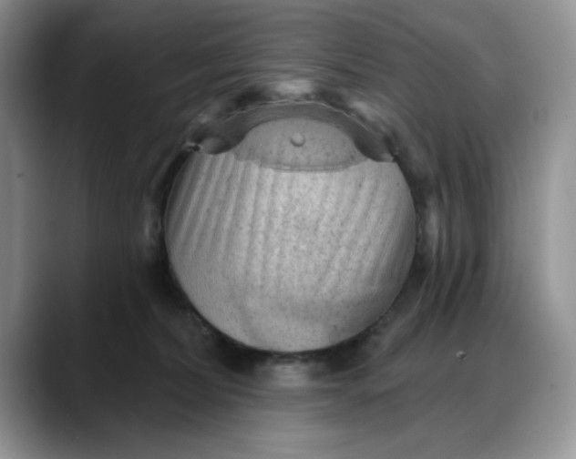 X0000088160228200705291918