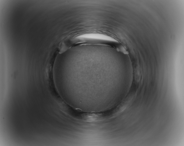 X0000088160229200705291918