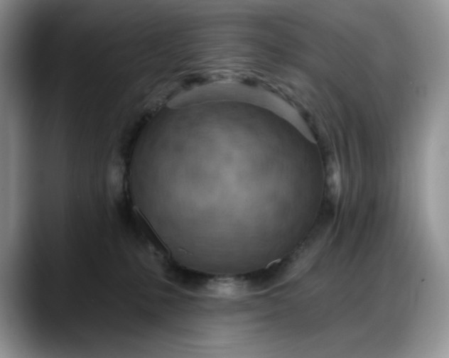 X0000088160231200705291918