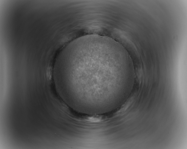 X0000088160232200705291918