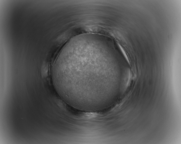 X0000088160233200705291918
