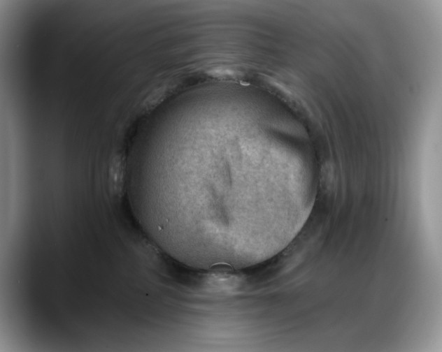 X0000088160234200705291918