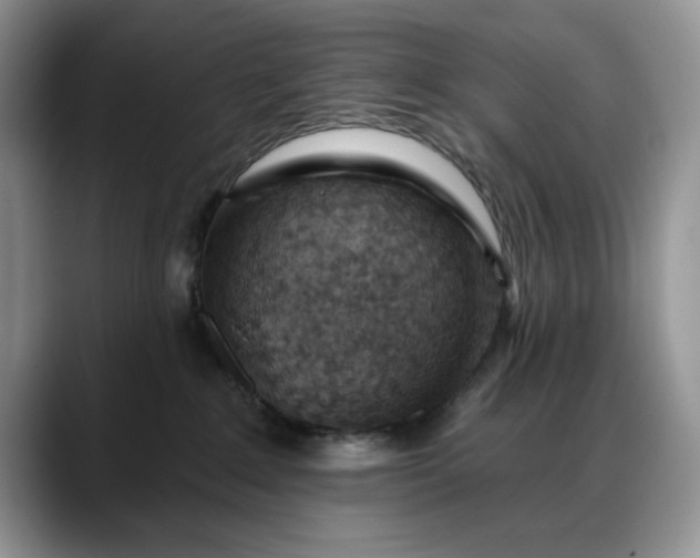 X0000088160235200705291918