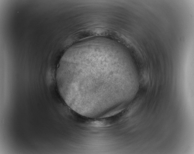 X0000088160236200705291918