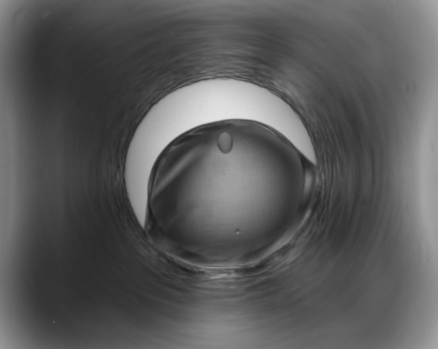 X0000088160237200705291918