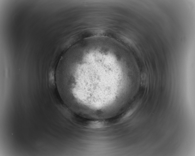 X0000088160238200705291918