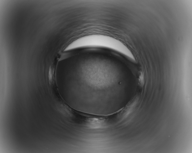 X0000088160239200705291918