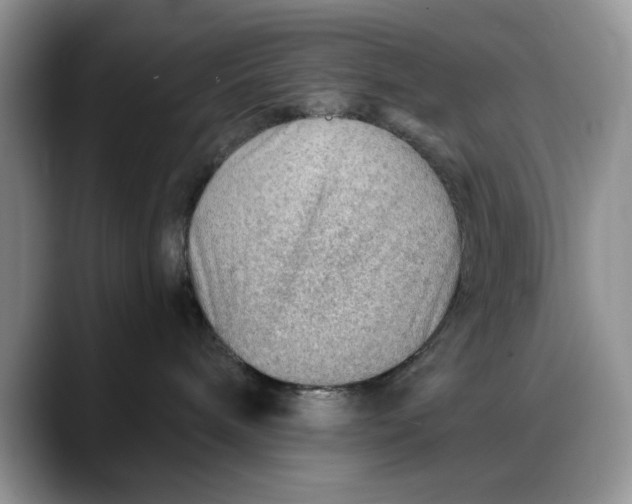 X0000088160240200705291918